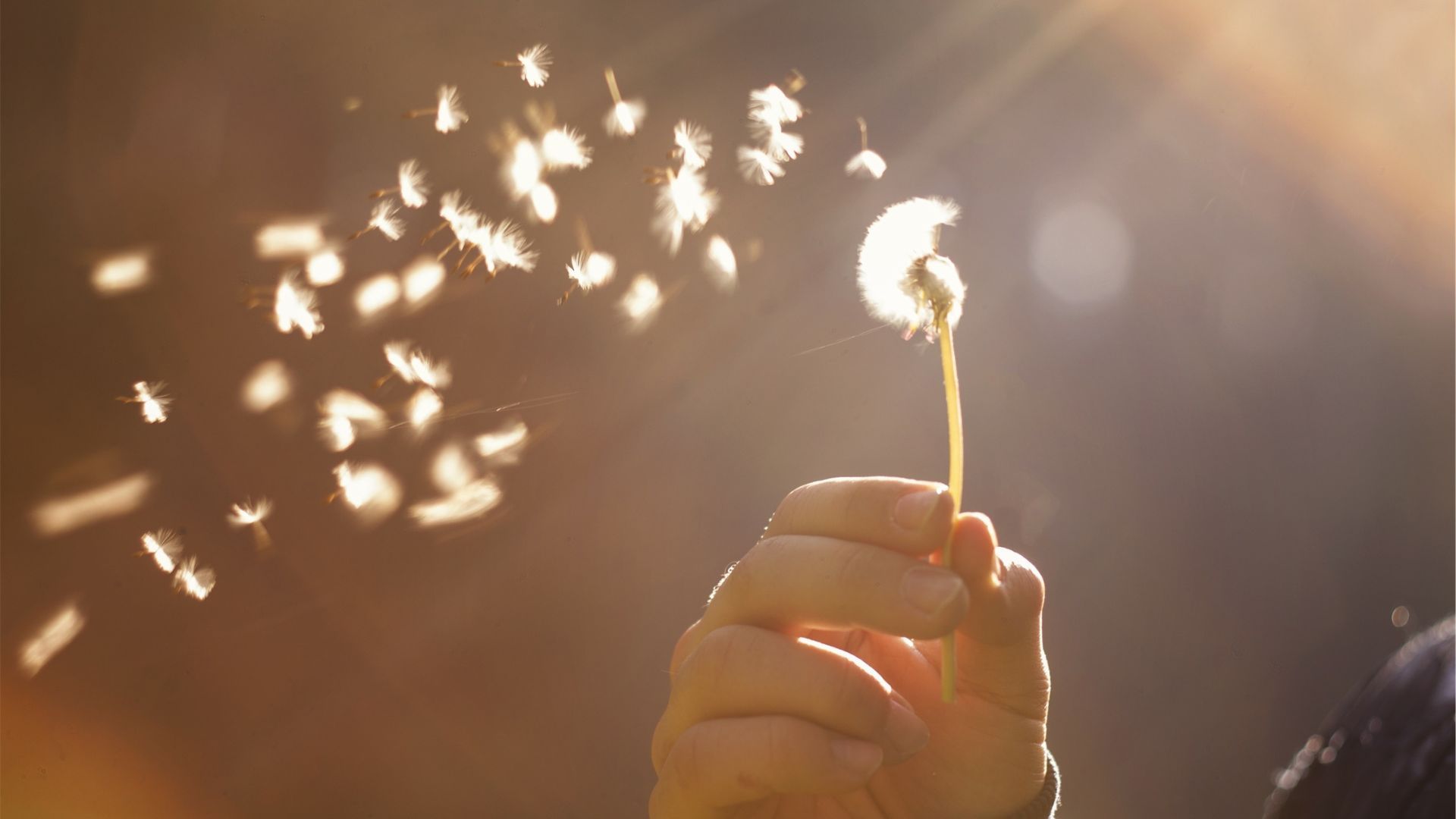¿Qué valor le das a tus deseos?… Aquello que deseas habla de ti…