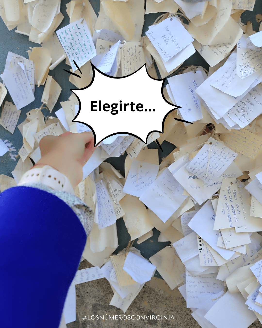 Elegirte…
